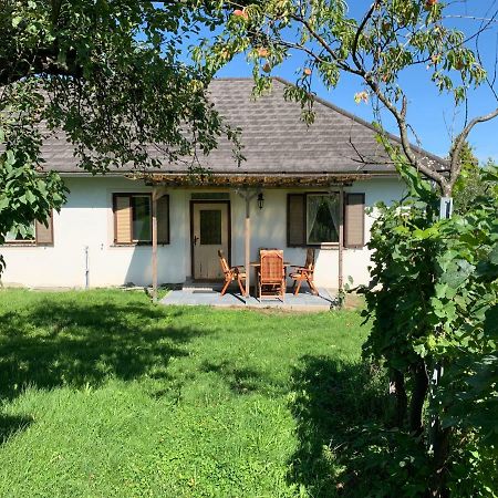 Urlaub Im Weingarten Winten  Zewnętrze zdjęcie