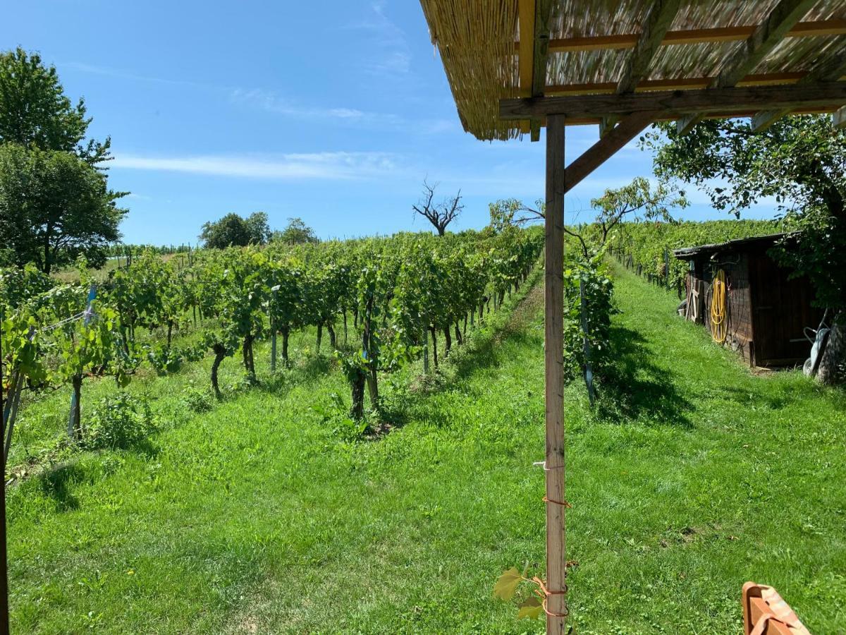 Urlaub Im Weingarten Winten  Zewnętrze zdjęcie